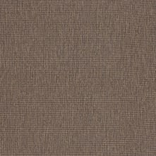 COCOA Swatch Teaser